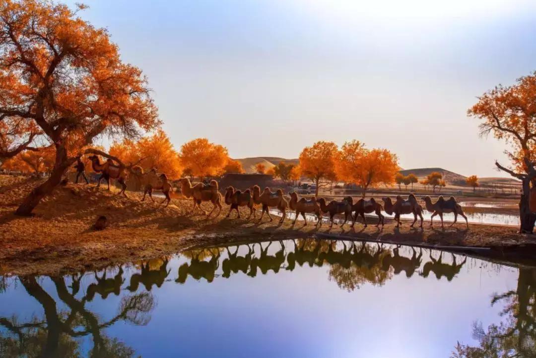 尉犁最值得去的地方,南疆国内最值得去的旅游目的地