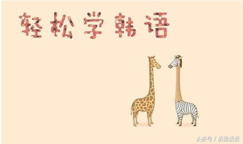 刚到韩国应该干什么,刚到韩国留学