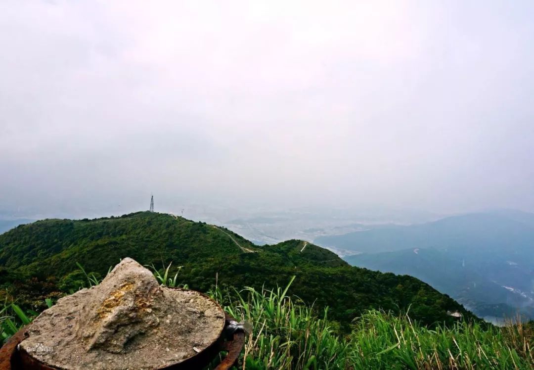 吹手报告|那些不上班的写笔者