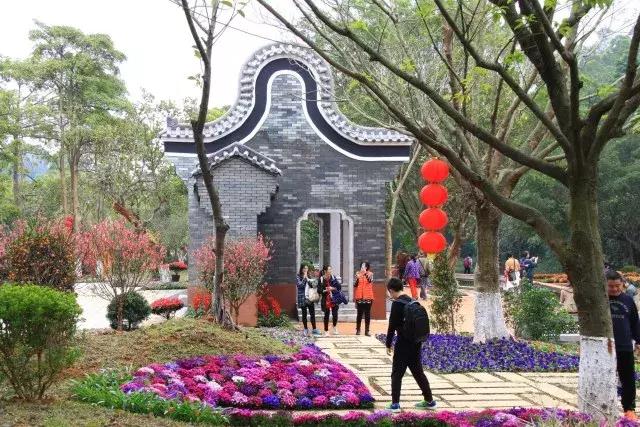 还没看的景点,大夫山最美景色