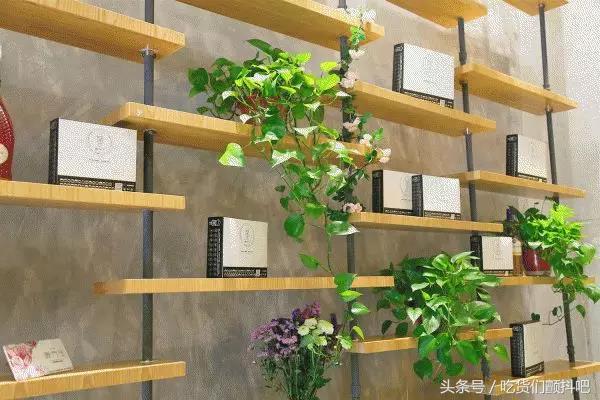 郑州最具氛围感餐厅终于来了,郑州聚会餐厅排行榜前十名2021年