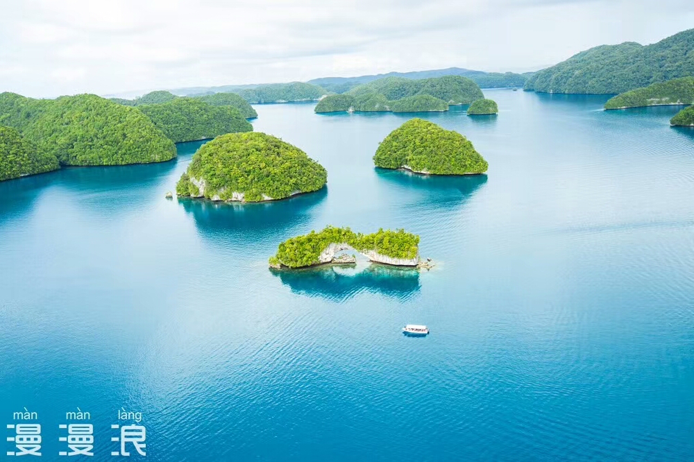 帕劳出行攻略详细,帕劳群岛隐藏攻略