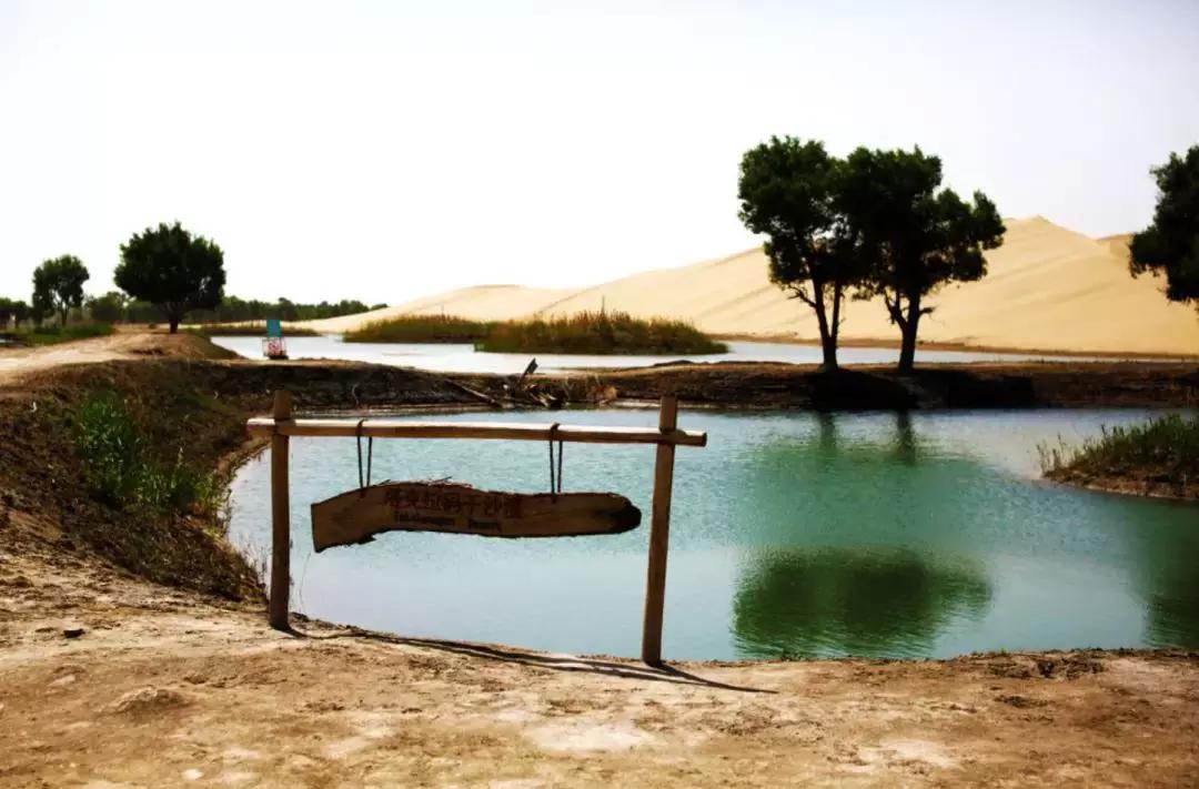 尉犁最值得去的地方,南疆国内最值得去的旅游目的地