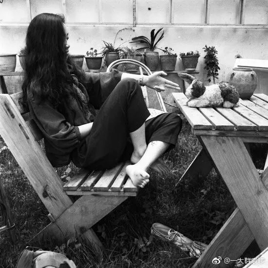 吹手报告|那些不上班的写笔者