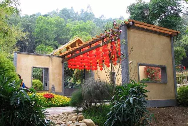 还没看的景点,大夫山最美景色