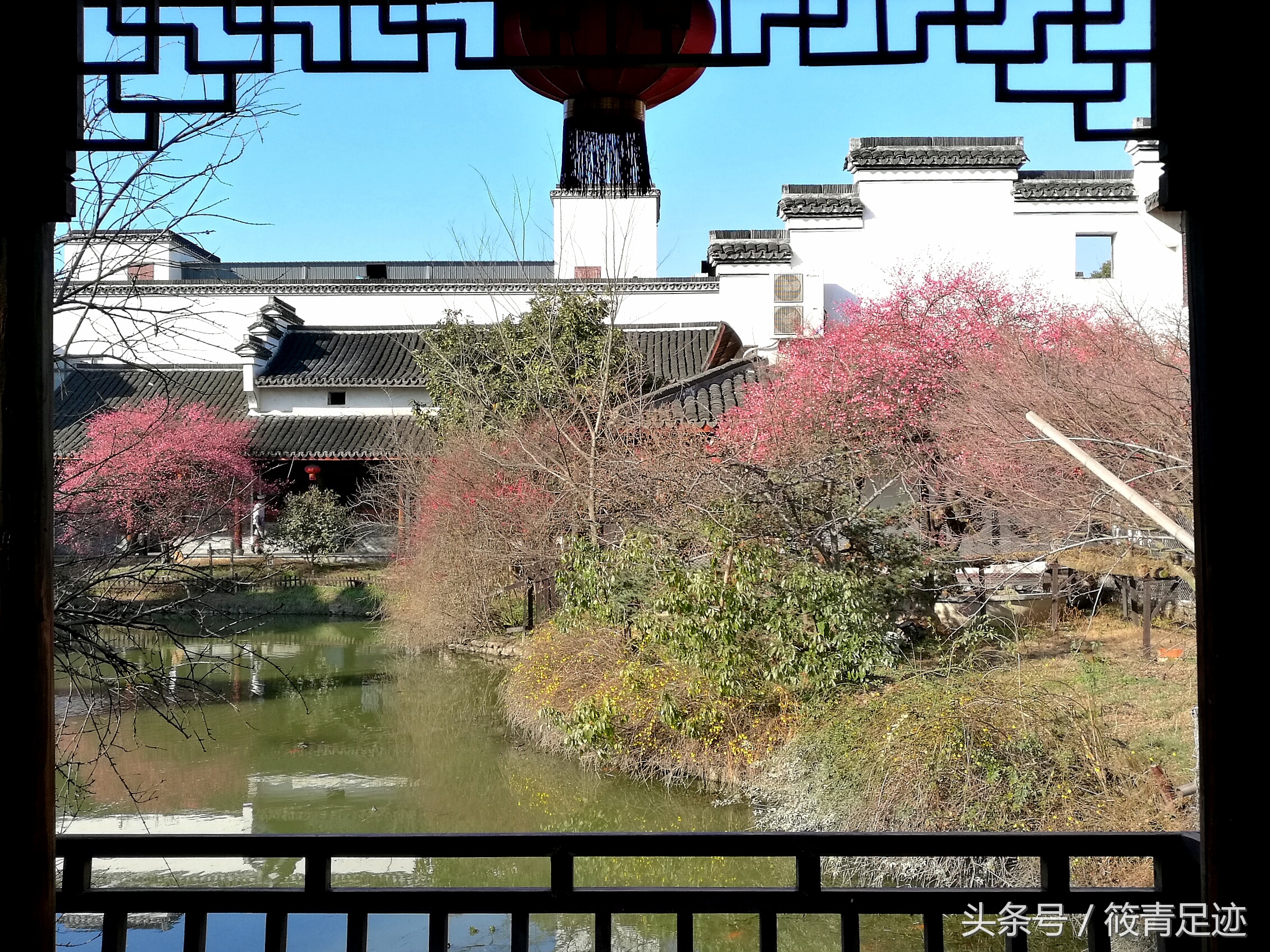 偶遇苏州同里古镇,偶遇古村落