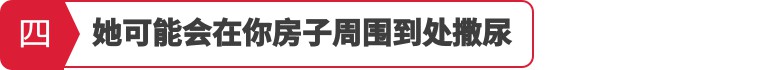 【干货】如何判断家中母猫是否急于脱单
