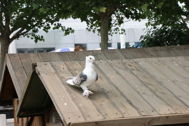 东方时尚以实力铸就品牌,东方时尚