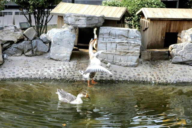 东方时尚以实力铸就品牌,东方时尚