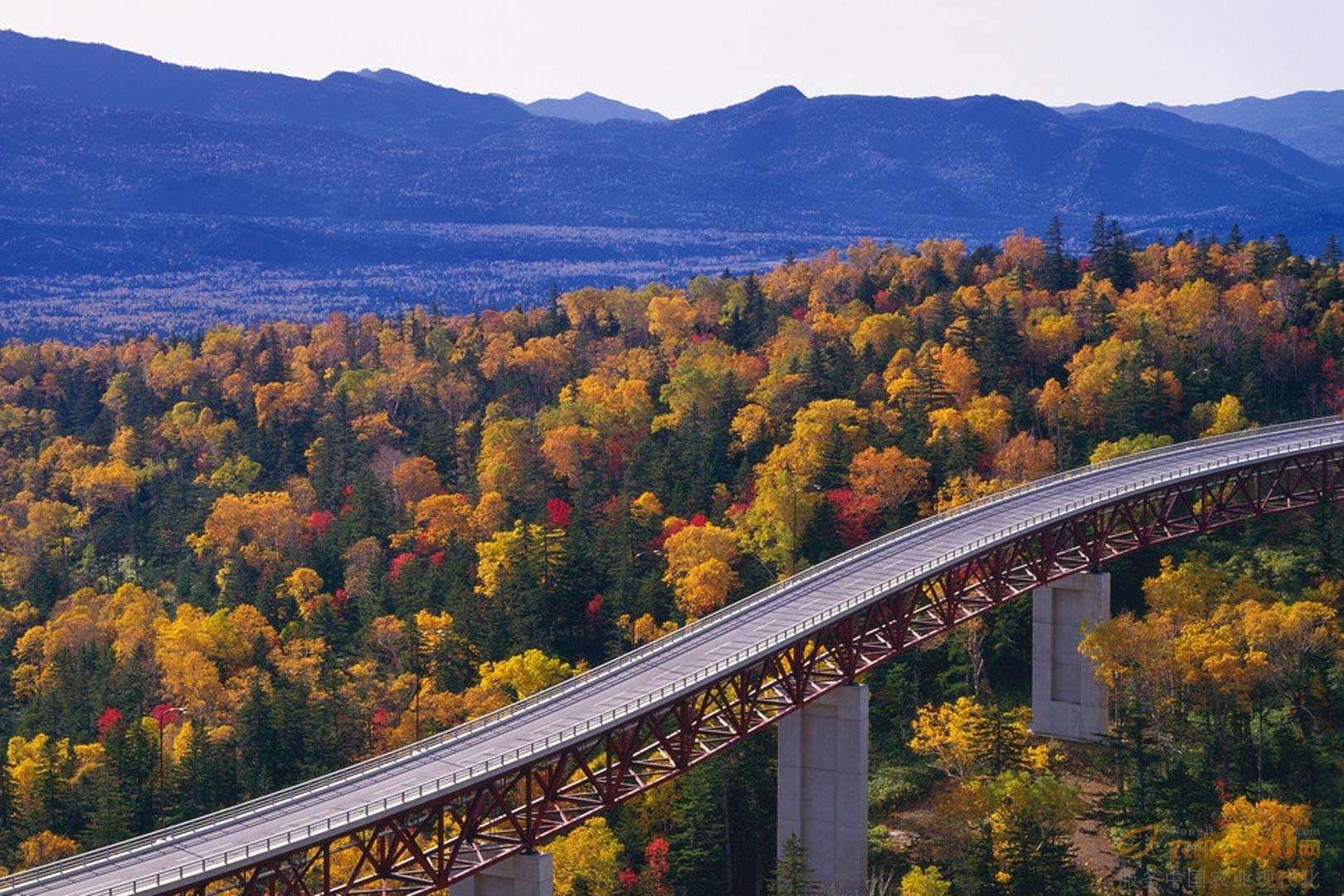中国学生教训日本留学生原视频,日本留学生打工的建议