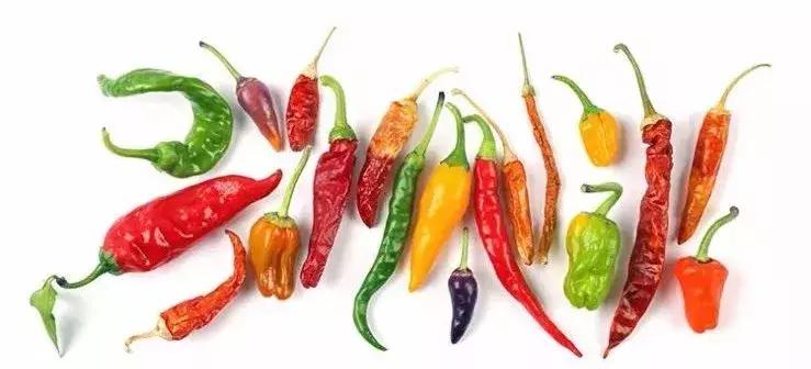 被科学家逐出“五味”的辣味，凭什么还能凌驾于其他口味之上？