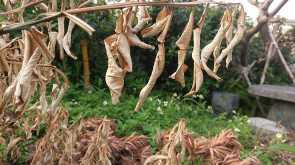 文本直送科技新闻:宏达电旗舰智慧型手机「HTC10」崭新体验，十分完美！