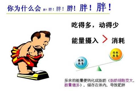 5.11世界防治肥胖日英文名,511世界防治肥胖日