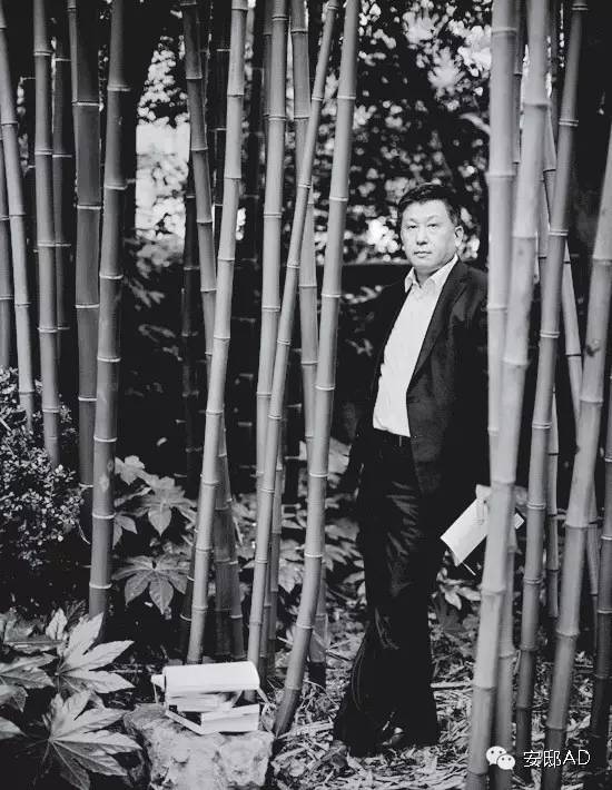 安邸ad名人豪宅,安邸ad好看吗