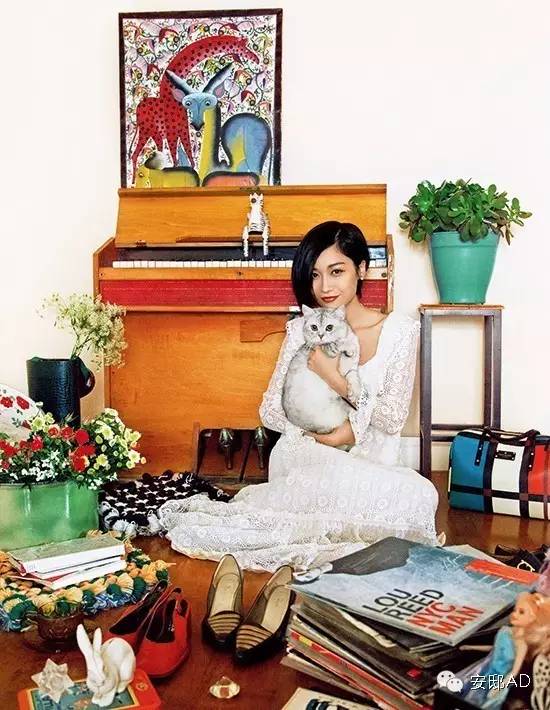 安邸ad名人豪宅,安邸ad好看吗