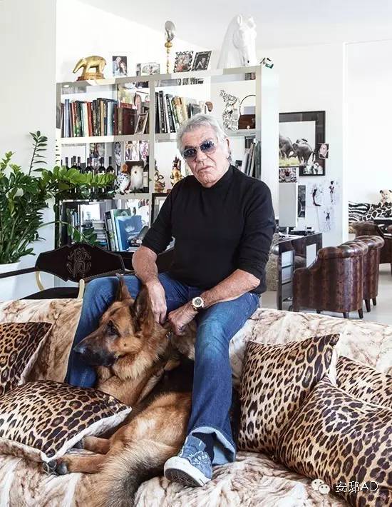 安邸ad名人豪宅,安邸ad好看吗