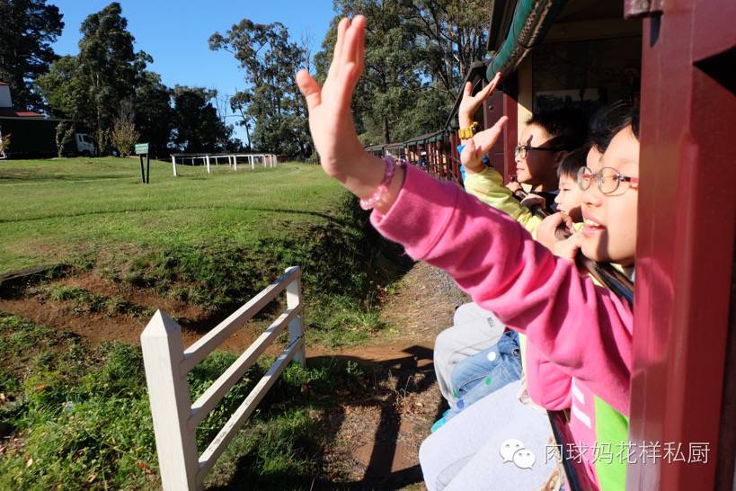 补钙长个子牛奶,长个补钙吃什么钙片最好