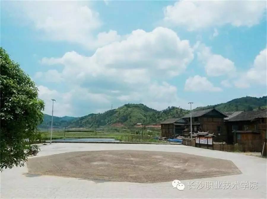 来稿我的大学生活比你多了道风景