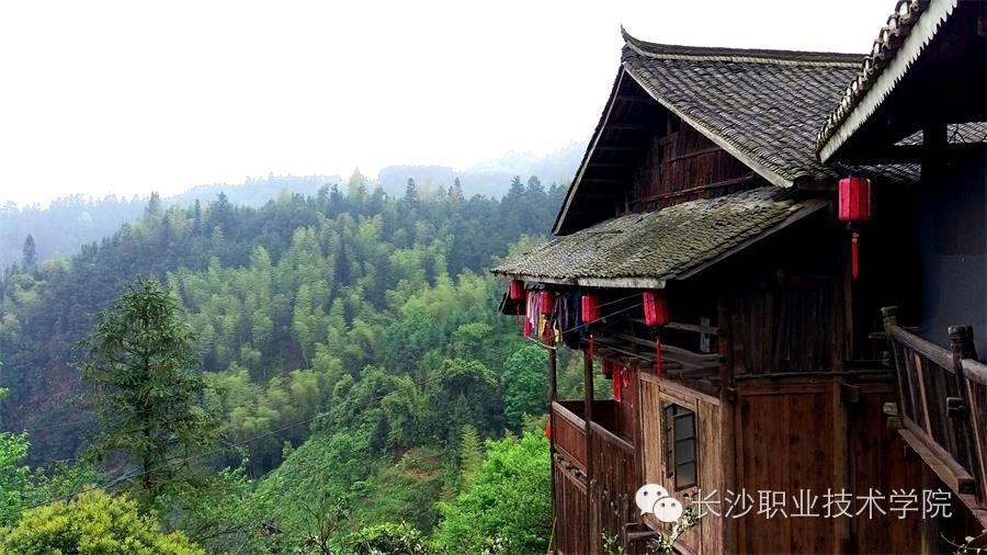来稿我的大学生活比你多了道风景