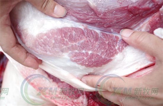 屠宰场杀猪的情况,生猪屠宰场杀猪实拍