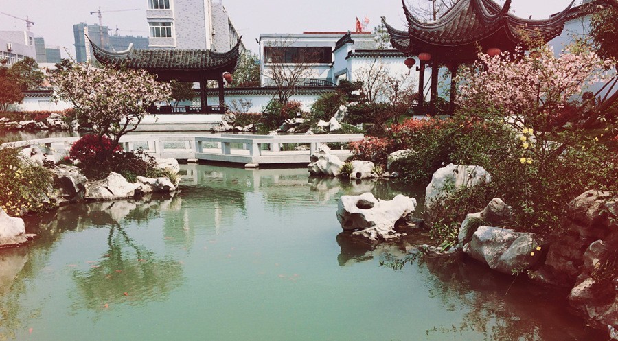 高新技术产业园区实景照片,产业园区风景