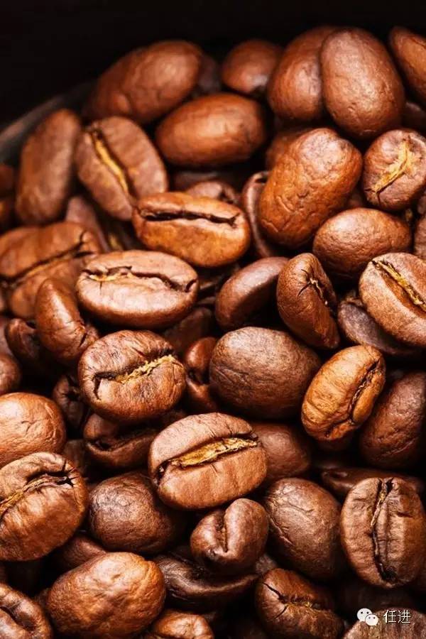 这货也是奢侈品？