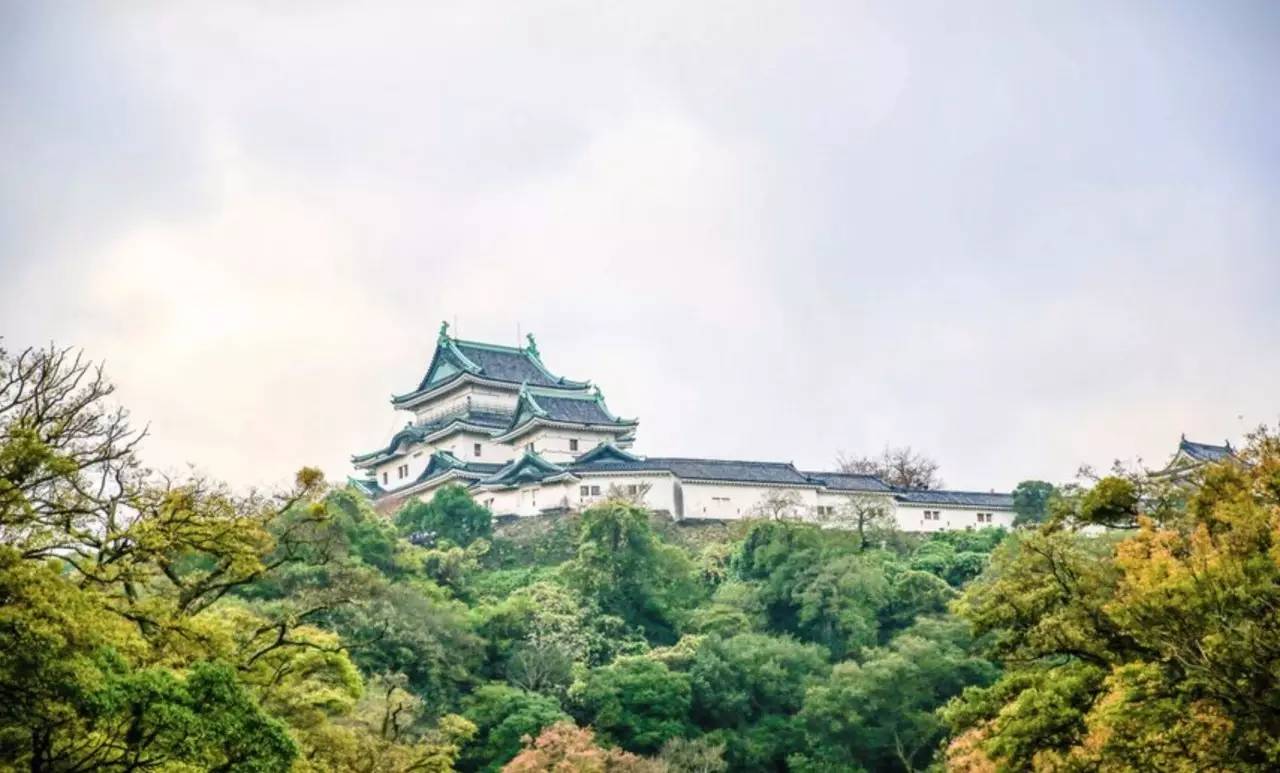 百万级帖主的“再度进击”|西日本，你不该错过这些