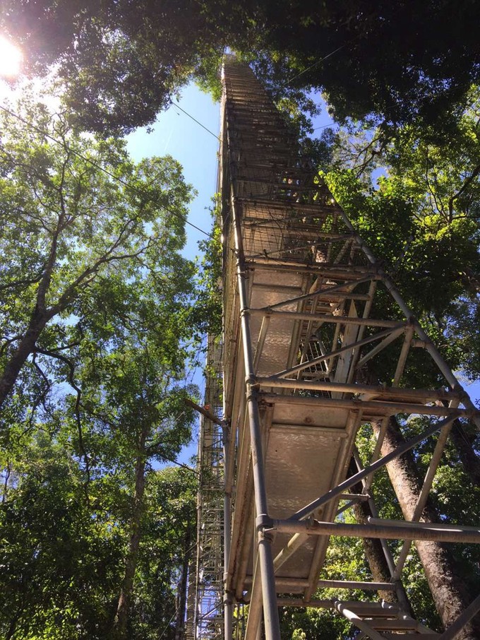 吴尊文莱照片,吴尊文莱最帅的照片