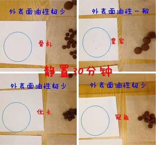 推荐几款好狗粮,2023热门狗粮测评