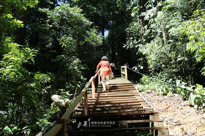 吴尊文莱照片,吴尊文莱最帅的照片