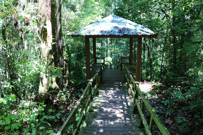 吴尊文莱照片,吴尊文莱最帅的照片