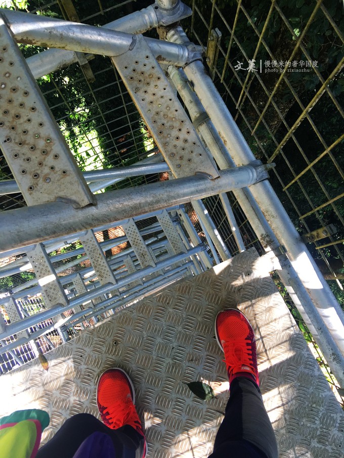 吴尊文莱照片,吴尊文莱最帅的照片