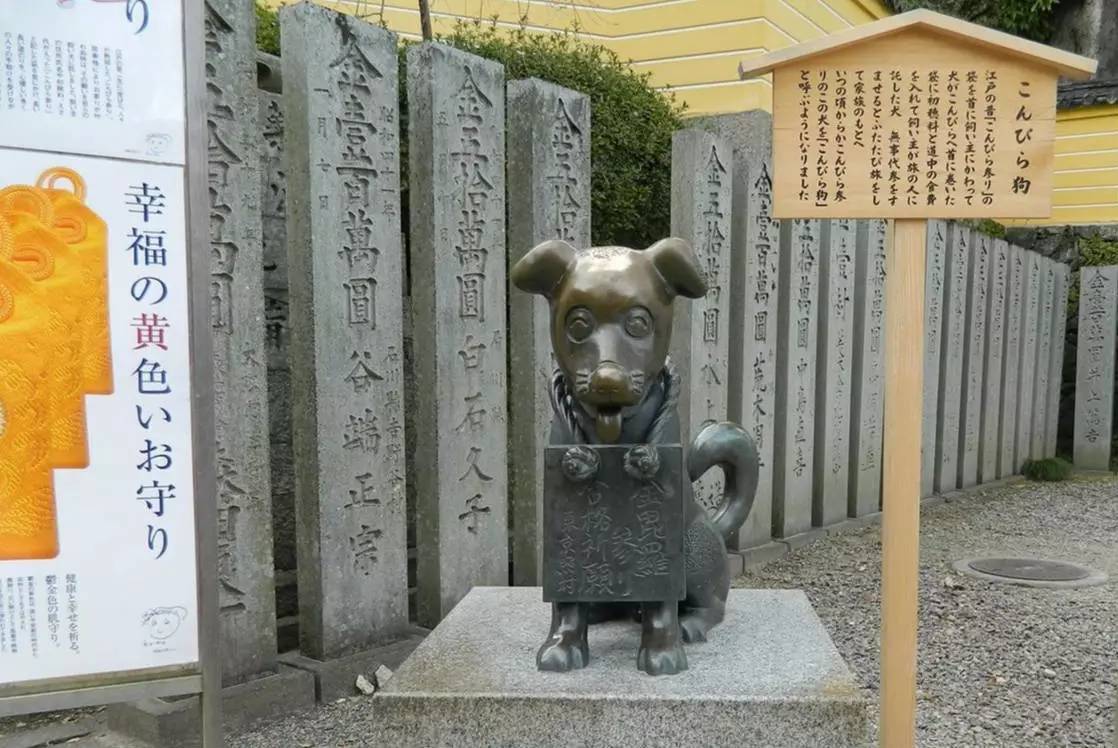 百万级帖主的“再度进击”|西日本，你不该错过这些