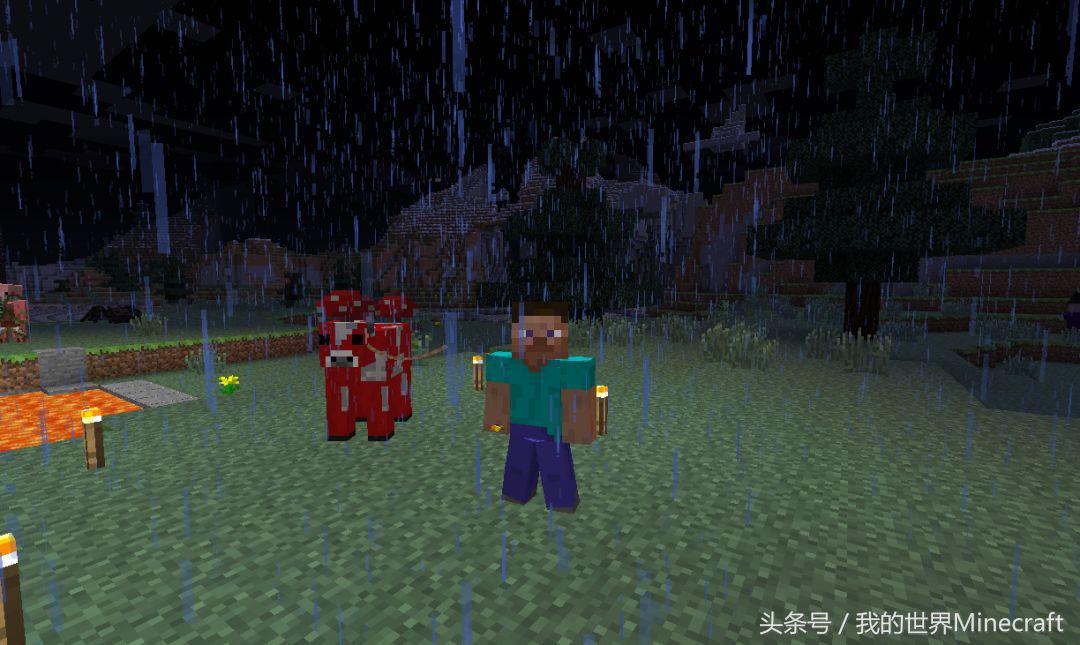 我的世界怎么将自己变成him,我的世界怎么让自己变成him的指令