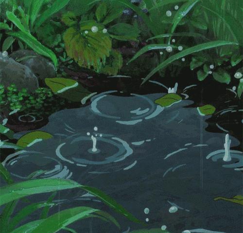 今日惊蛰节气高清图片,今日节气惊蛰万物苏醒