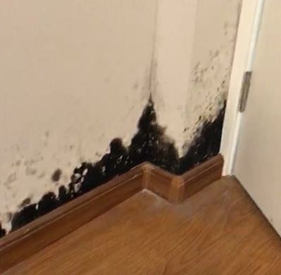 装修材料的高端品牌排行榜,装修材料品牌及价格推荐2020