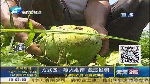 天天315曝光的食品,天天315商品合法吗