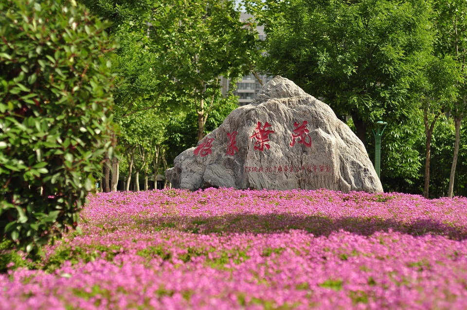 陕西国防工业工作技术学院毕业,陕西国防工业工作技术学院待遇