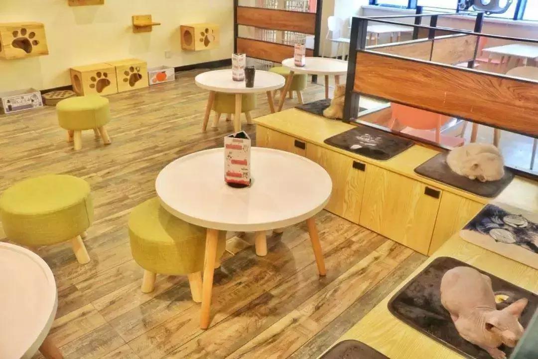 少女心沦陷！看完这7家粉粉粉粉出天际的店，不想去算我输