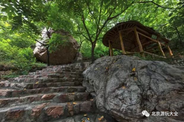 一个不收门票的绝美景点,一个让人陶醉而又免门票的景点