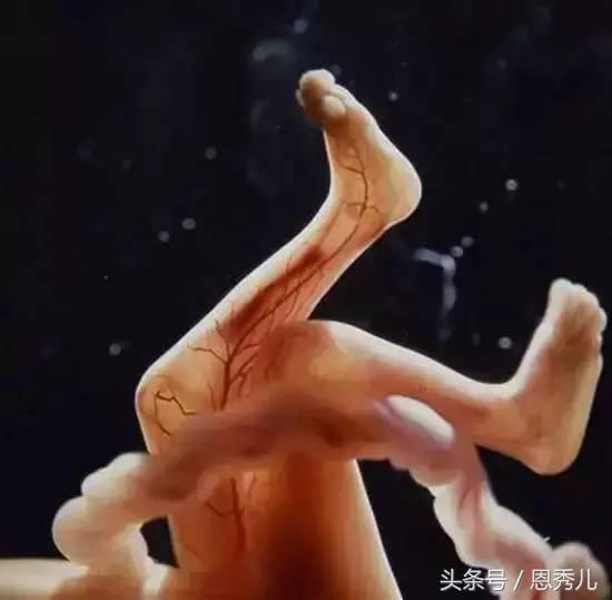 摄影大师花费10年，用镜头记录精子与卵子结合并发育成长的过程！