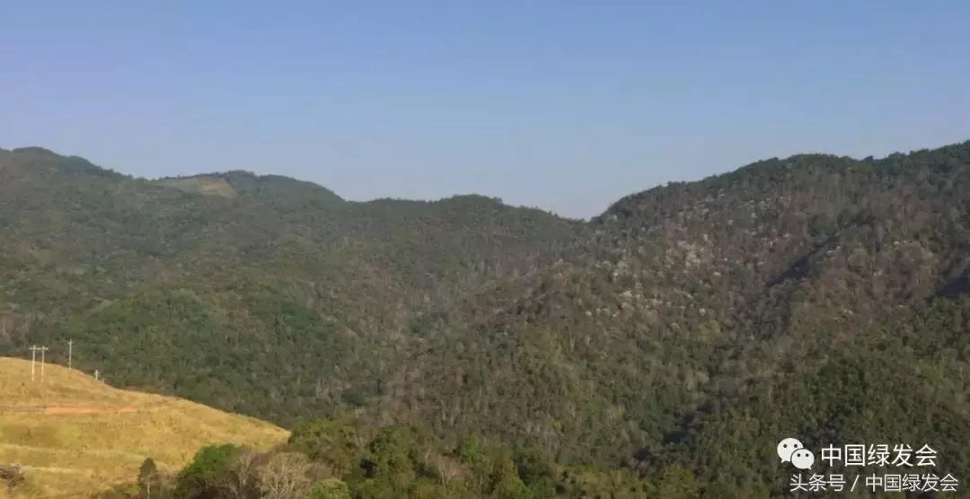 绿会中华保护地,绿会保护地