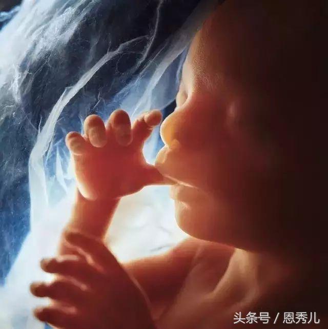 摄影大师花费10年，用镜头记录精子与卵子结合并发育成长的过程！