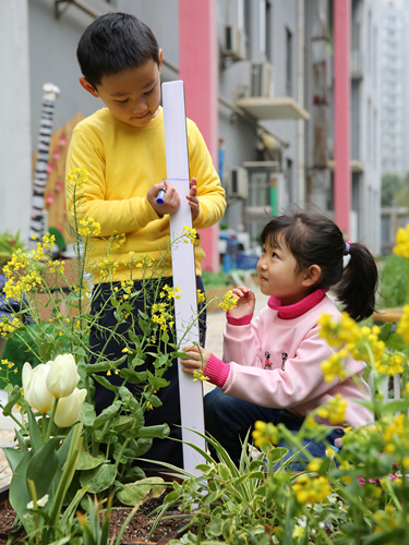 植树节主题升旗仪式活动方案,企业植树节活动创意活动方案