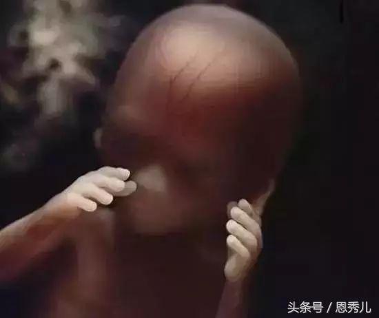 摄影大师花费10年，用镜头记录精子与卵子结合并发育成长的过程！