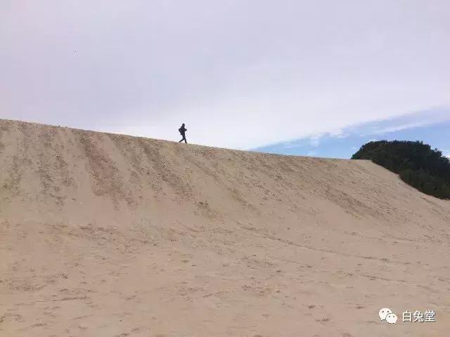 「白兔堂」可能只有不到10%的游客在澳洲玩到了这些！你玩对了吗？