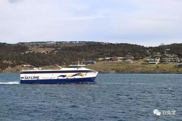 「白兔堂」可能只有不到10%的游客在澳洲玩到了这些！你玩对了吗？