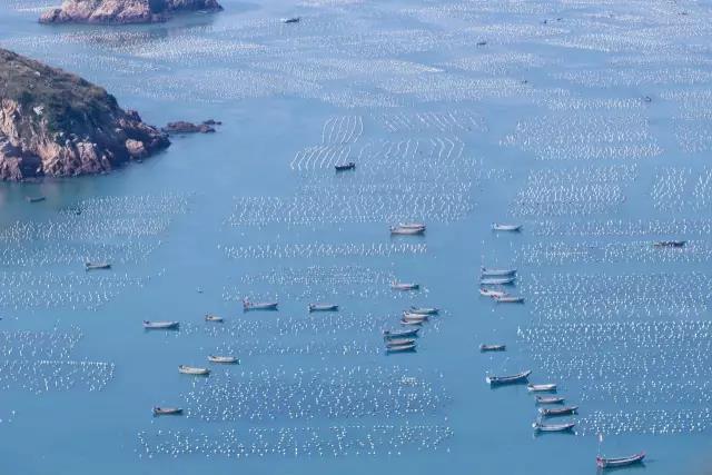 浙江自驾游小岛渔村,浙江小渔村旅游攻略2-3天短途旅游