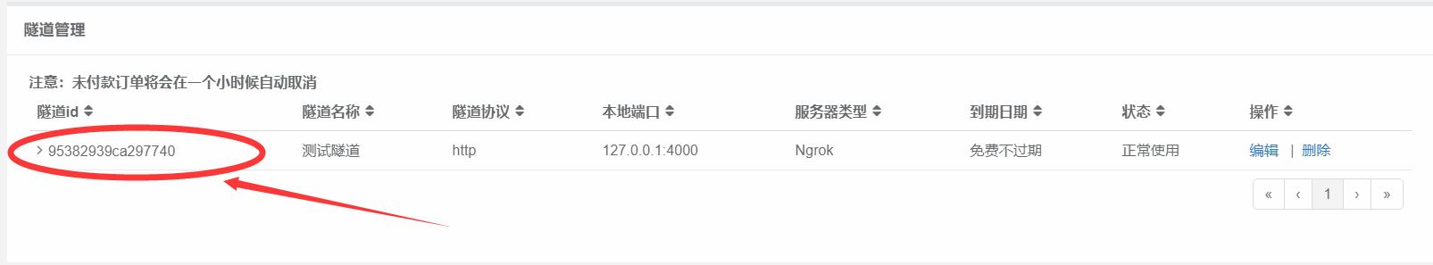 内网穿透ngrok服务器搭建,ngrok内网穿透支持什么协议