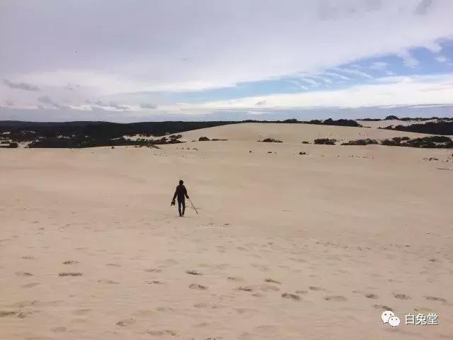 「白兔堂」可能只有不到10%的游客在澳洲玩到了这些！你玩对了吗？